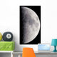 First Quarter Moon Wall Decal