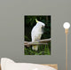 Yellow Crested Cockatoo Wall Decal Design 2
