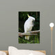 Yellow Crested Cockatoo Wall Decal Design 2