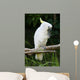 Yellow Crested Cockatoo Wall Decal Design 2