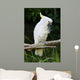 Yellow Crested Cockatoo Wall Decal Design 2