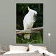 Yellow Crested Cockatoo Wall Decal Design 2