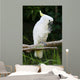 Yellow Crested Cockatoo Wall Decal Design 2