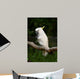 Yellow Crested Cockatoo Wall Decal Design 1