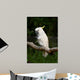 Yellow Crested Cockatoo Wall Decal Design 1