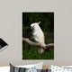 Yellow Crested Cockatoo Wall Decal Design 1