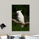 Yellow Crested Cockatoo Wall Decal Design 1