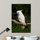 Yellow Crested Cockatoo Wall Decal Design 1