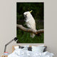 Yellow Crested Cockatoo Wall Decal Design 1