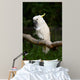 Yellow Crested Cockatoo Wall Decal Design 1