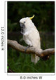 Yellow Crested Cockatoo Wall Decal Design 1