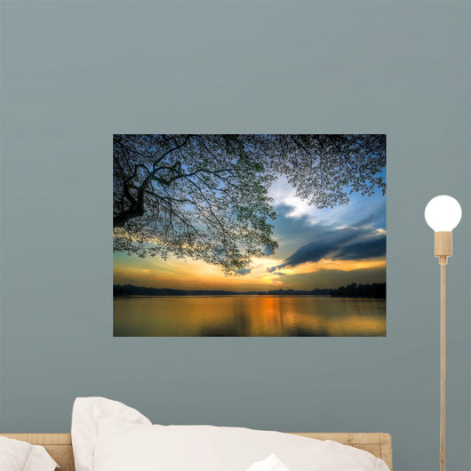 Sunset under Large Tree Wall Decal