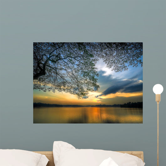 Sunset under Large Tree Wall Decal