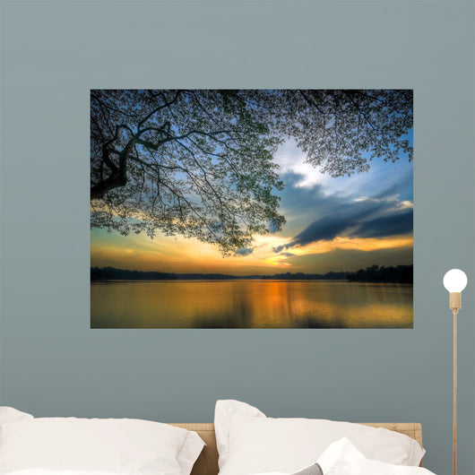 Sunset under Large Tree Wall Decal