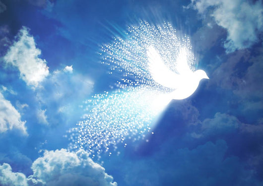 Dissolving Peace Dove Wall Decal