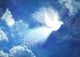 Dissolving Peace Dove Wall Decal