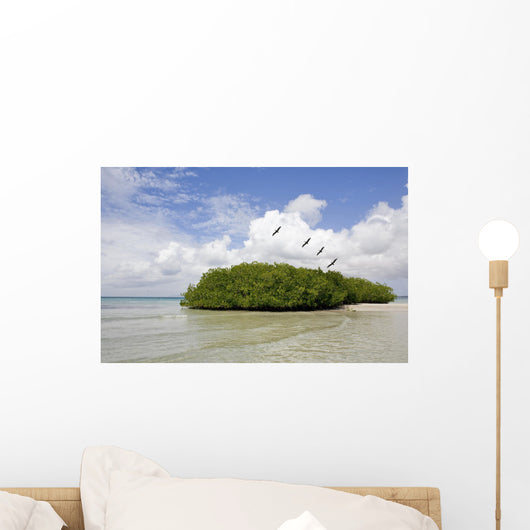 Margarita Island Venezuela Coastline Wall Decal