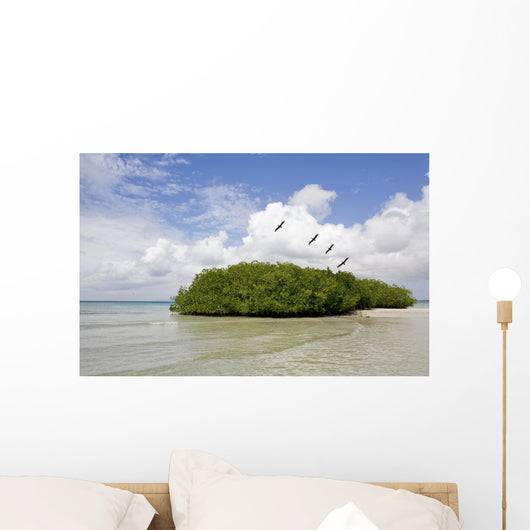 Margarita Island Venezuela Coastline Wall Decal