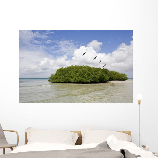 Margarita Island Venezuela Coastline Wall Decal
