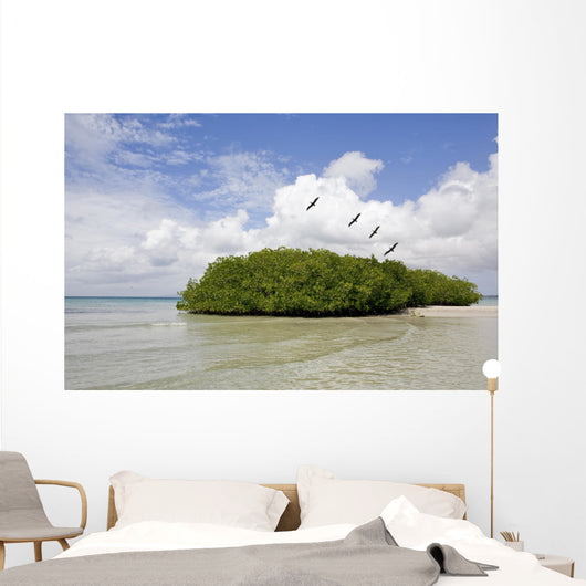Margarita Island Venezuela Coastline Wall Decal