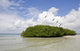 Margarita Island Venezuela Coastline Wall Decal