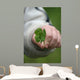 Four Leaf Clover Wall Decal