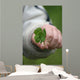 Four Leaf Clover Wall Decal