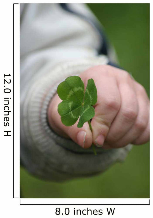 Four Leaf Clover Wall Decal