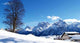 Engadinesuisse Wall Decal