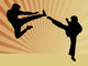 Karate Wall Decal