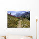 Col La Cayolle Alpes Wall Decal