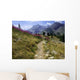 Col La Cayolle Alpes Wall Decal