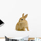 Lapin Sur Fond Blanc Wall Decal