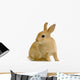Lapin Sur Fond Blanc Wall Decal