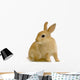 Lapin Sur Fond Blanc Wall Decal