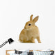 Lapin Sur Fond Blanc Wall Decal