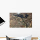 Aerial Village and Fields Wall Decal