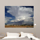 Tall Thunderstorm Builds over Wall Decal