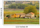 Vineyard Provence Wall Decal
