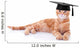 Smart Graduate Pet Cat Wall Decal