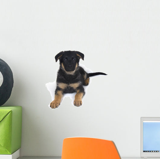 Cute One-month-old German Shepherd Wall Decal