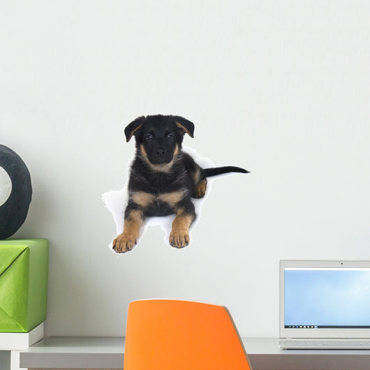 Cute One-month-old German Shepherd Wall Decal