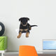 Cute One-month-old German Shepherd Wall Decal