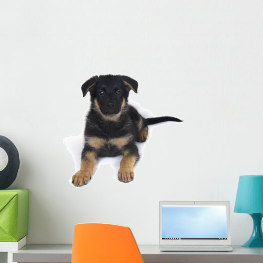 Cute One-month-old German Shepherd Wall Decal