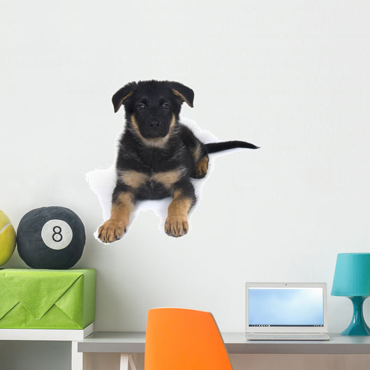 Cute One-month-old German Shepherd Wall Decal