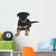 Cute One-month-old German Shepherd Wall Decal