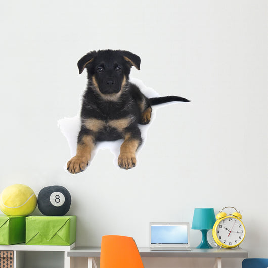 Cute One-month-old German Shepherd Wall Decal