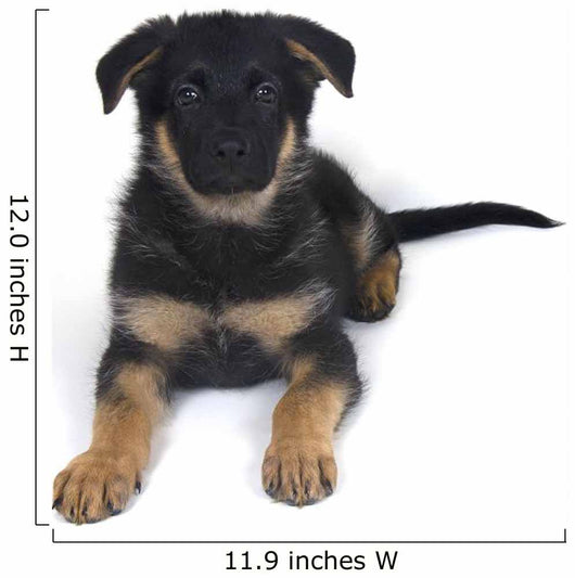 Cute One-month-old German Shepherd Wall Decal