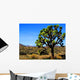 Joshua Tree Wall Decal