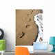 Human Footprints Leading along Wall Decal